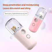 Face Moisturizing Facial Steamer