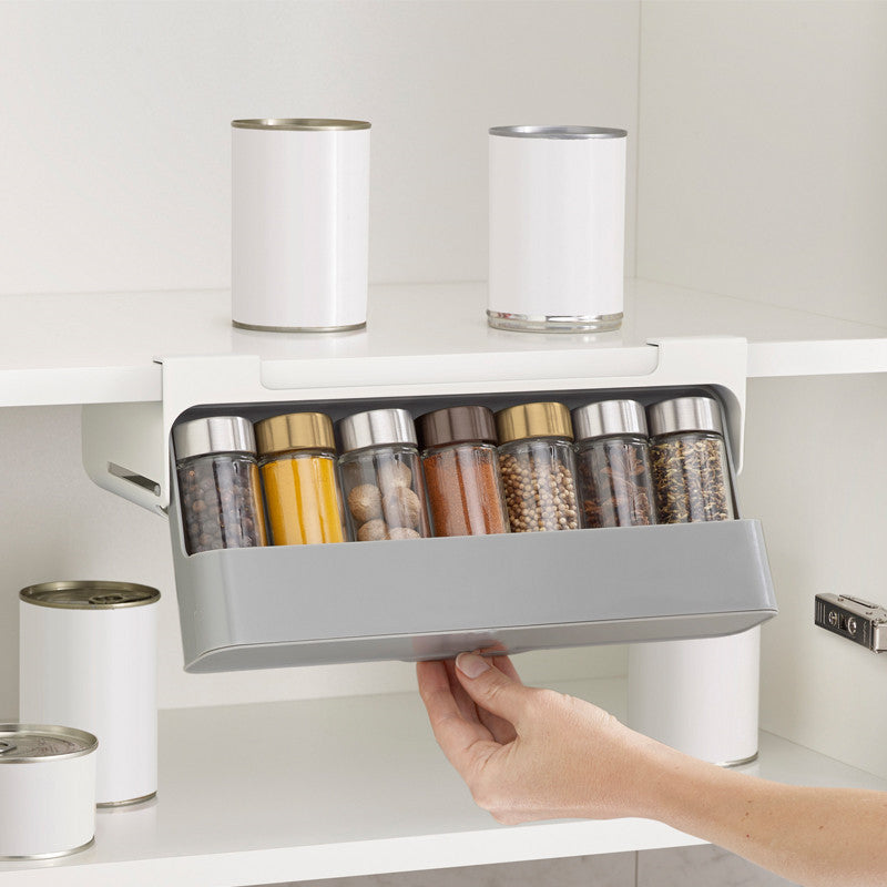 Under-shelf Spice Organizer